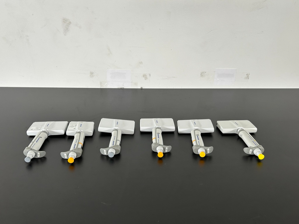 Image of Eppendorf Research Plus Multichannel Pipettes - Quantity 6